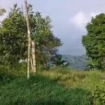 Norte del Cauca sigue bajo fuego