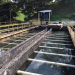 Presuntos hallazgos penales en Emquilichao