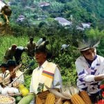 Simbolizar la cultura campesina