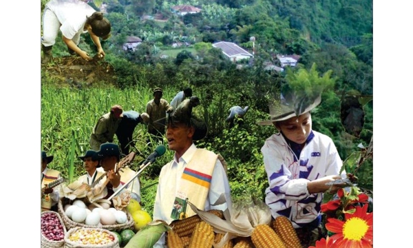 Simbolizar-la-cultura-campesina.jpg