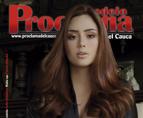 Modelo Proclama del Cauca del mes de febrero 2019 (2)