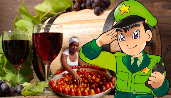NI-VINO-NI-CHONTADURO.jpg