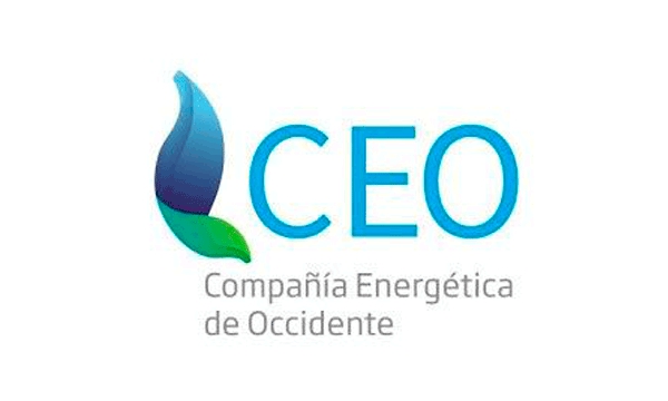 ceo.jpg