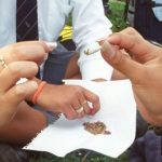 Capturados por vender droga a estudiantes