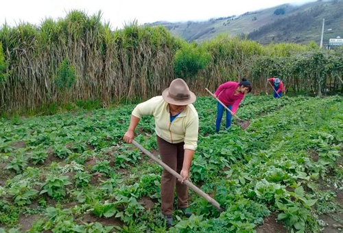 Nuestro-campo-colombiano Nuestro-campo-colombiano