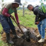 El Aguacate Hass: una muestra de berraquera en Cauca