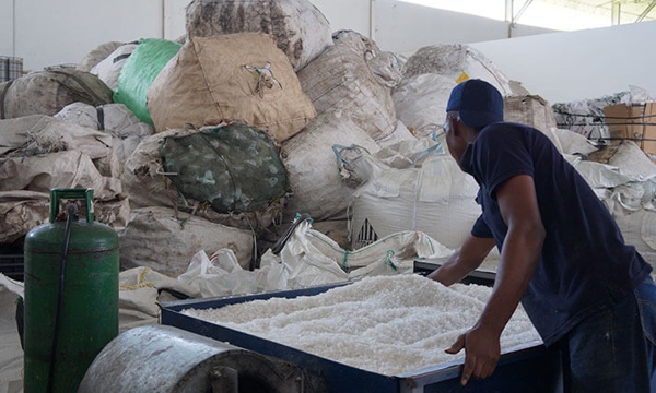 LOS-RECICLADORES-2.jpg