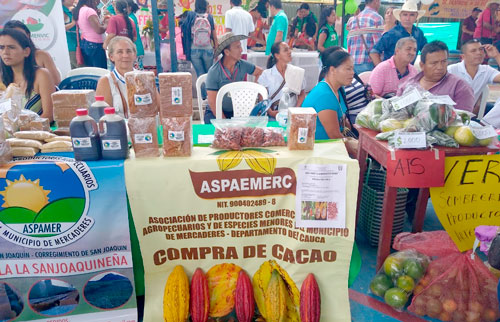 Estrategias-para-el-desarrollo-local-en-el-Cauca-..jpg