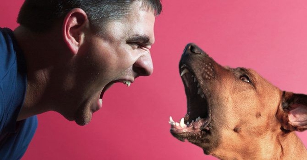 Pobreza-inseguridad-y-vida-de-perros.jpg