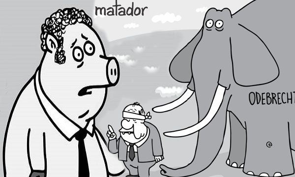 Pasos-de-animal-1.jpg