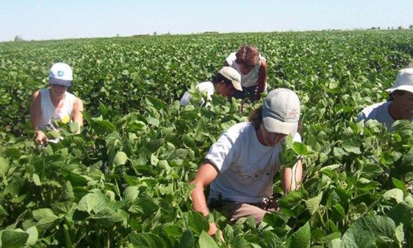 Un-bloque-agrario-en-Colombia