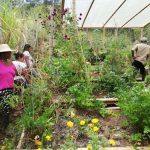 Productores caucanos tienen conciencia ambiental y preservan el suelo