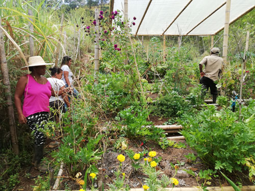 Productores-caucanos-preservan-el-suelo.jpg