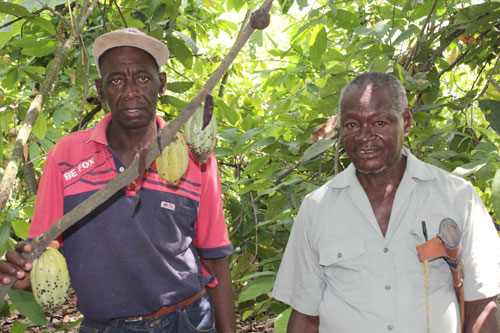 Su-norte-es-el-cacao-23.jpg