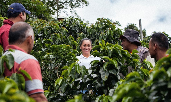 Arraigo-y-café-en-la-cultura-del-Cauca.jpg