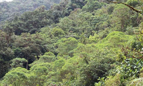 Parque Natural Regional El Aletón Parque Natural Regional El Aletón