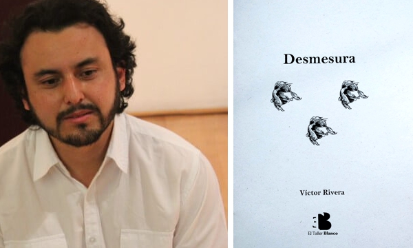 LIBRO-DE-LA-DESMESURA LIBRO-DE-LA-DESMESURA