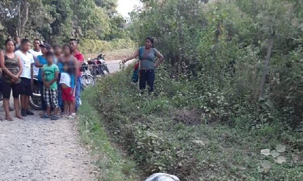 Sigue-la-mortandad-en-el-Cauca Sigue-la-mortandad-en-el-Cauca