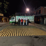 Incautan 740 kilos de marihuana en el Cauca