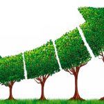 La ecología como eje en los planes de desarrollo