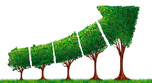 La-ecología-como-eje-en-los-planes-de-desarrollo.jpg