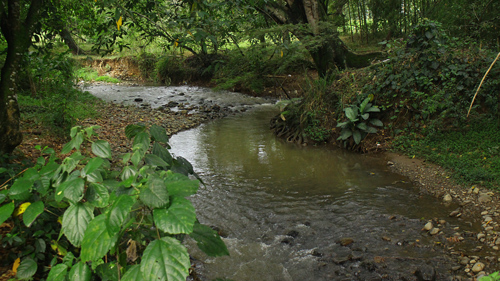 ¡Aguas-negras-caen-al-rio-Quilichao!