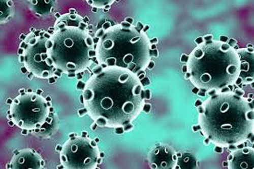 ¿Dudas sobre el Coronavirus?