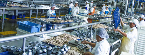10.000-empleados-se-han-registrado-para-obtener-el-Pasaporte-Sanitario-Digital-1.jpg