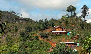 Continúa masacre gota a gota en el Cauca