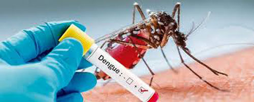 Casos-de-dengue-en-el-Valle-del-Cauca-han-disminuido.jpg