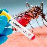 rompe la transmisión del dengue