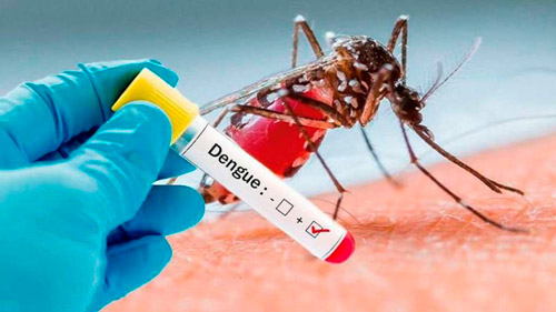 Rompe-la-transmision-del-dengue.d.jpg