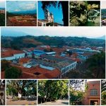“QUILICHAO VIVE”: CINCO CAMINOS DE ORO