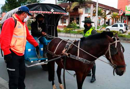 Carretilleros-reafirman-compromiso-de-la-Alcaldía-por-el-bienestar-animal3.jpg