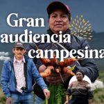 Gobierno responderá en audiencia pública