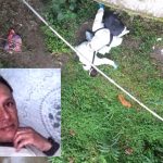 Lo encontraron descuartizado en la vía Popayán - Timbío