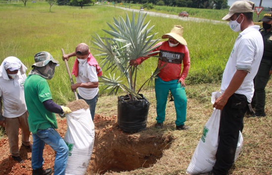 ANI-desde-Quilichao-no-permitio-que-se-oxigenara-el-planeta-tierra3-1.jpg