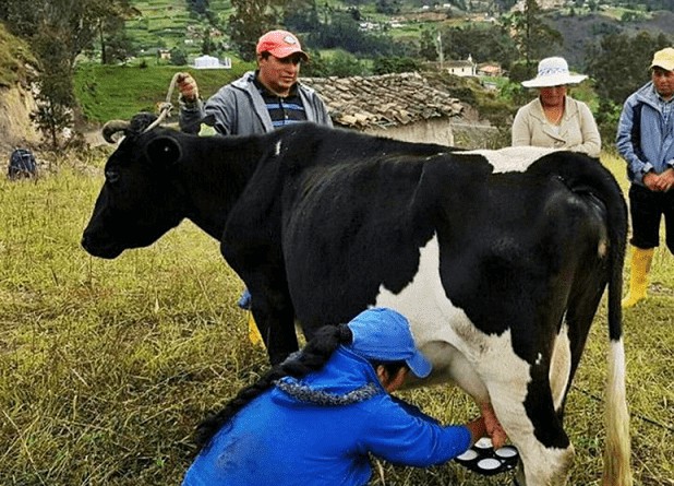 Cadena-láctea-1.jpg