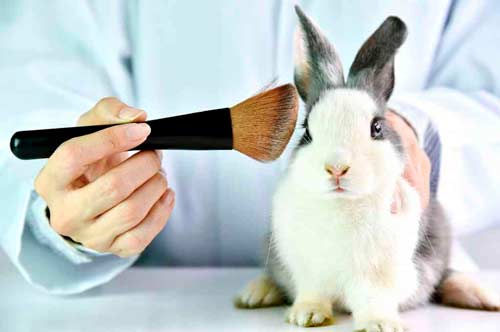 Colombia-prohibe-pruebas-cosmeticas-en-animales