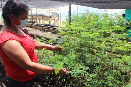 Economia-verde-polo-de-desarrollo-en-el-Cauca.jpg