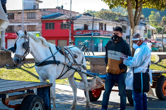 En-Popayán-se-trabaja-por-mejorar-el-bienestar-animal-Control-a-equinos2.jpg