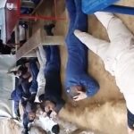 Brigada de Desminado Humanitario,