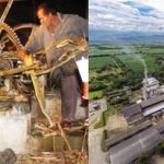 Ingenios y trapiches en el Cauca