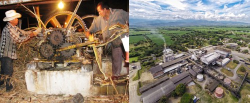 Ingenios y trapiches en el Cauca