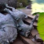 Las estatuas mueren también