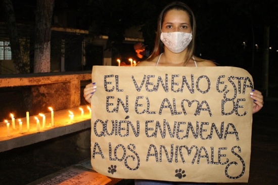 Planton-en-Quilichao-contra-envenenamiento-y-maltrato-animal4.jpg