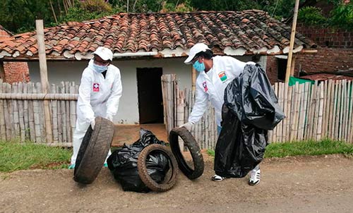 dengue-agosto-2020.jpg