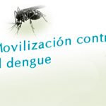 Más de 66.000 casos de dengue se han presentado en Colombia en el 2020