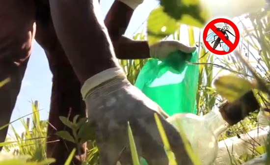 Ejecutan-acciones-para-prevenir-el-Dengue-en-el-norte-del-Cauca.jpg