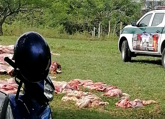 Incautan-cerca-de-3-toneladas-de-carne-ilegal-que-seria-comercializada-en-Quilichao.jpg